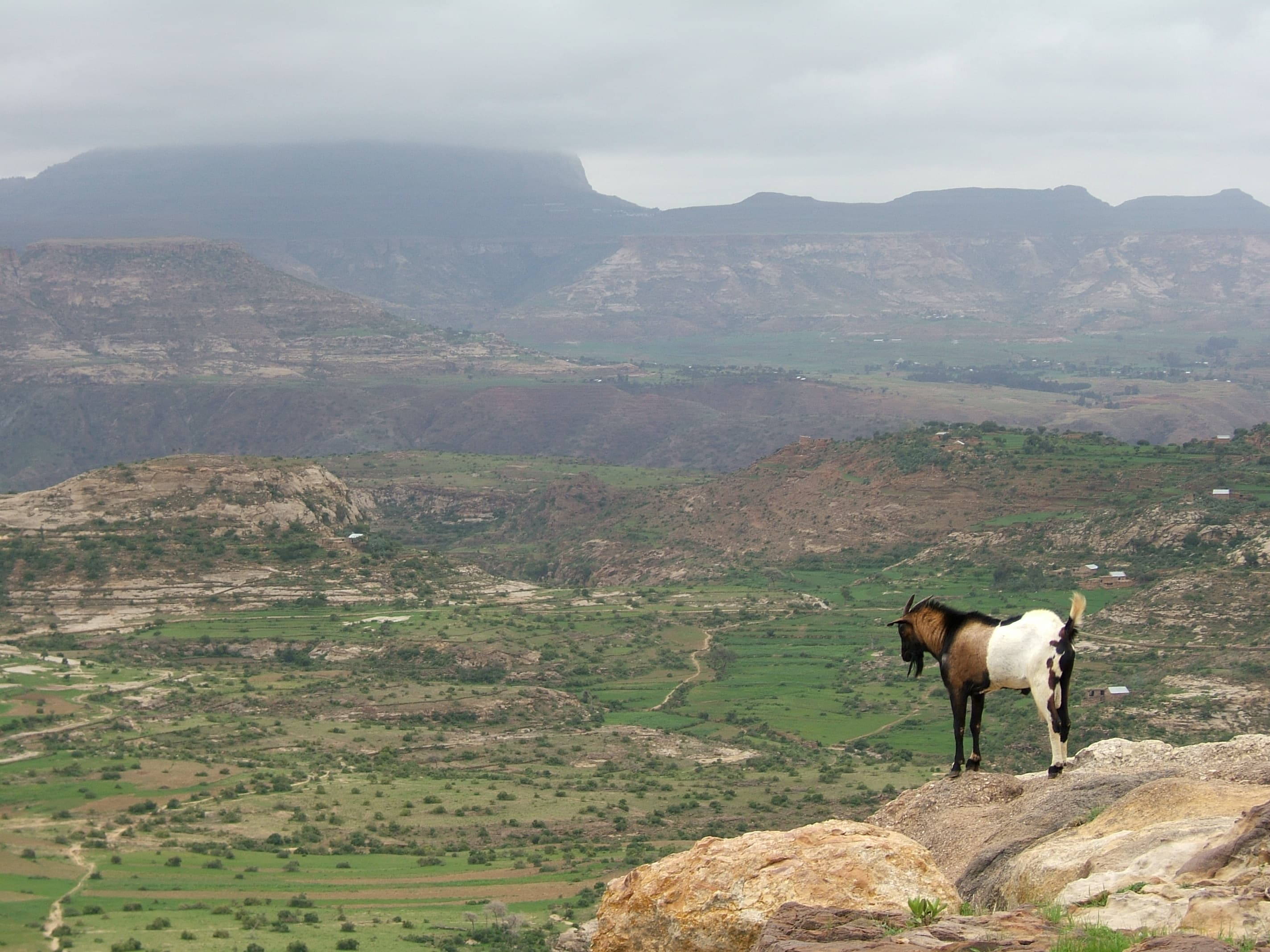 Ethiopian Highlands - Gojjam Province